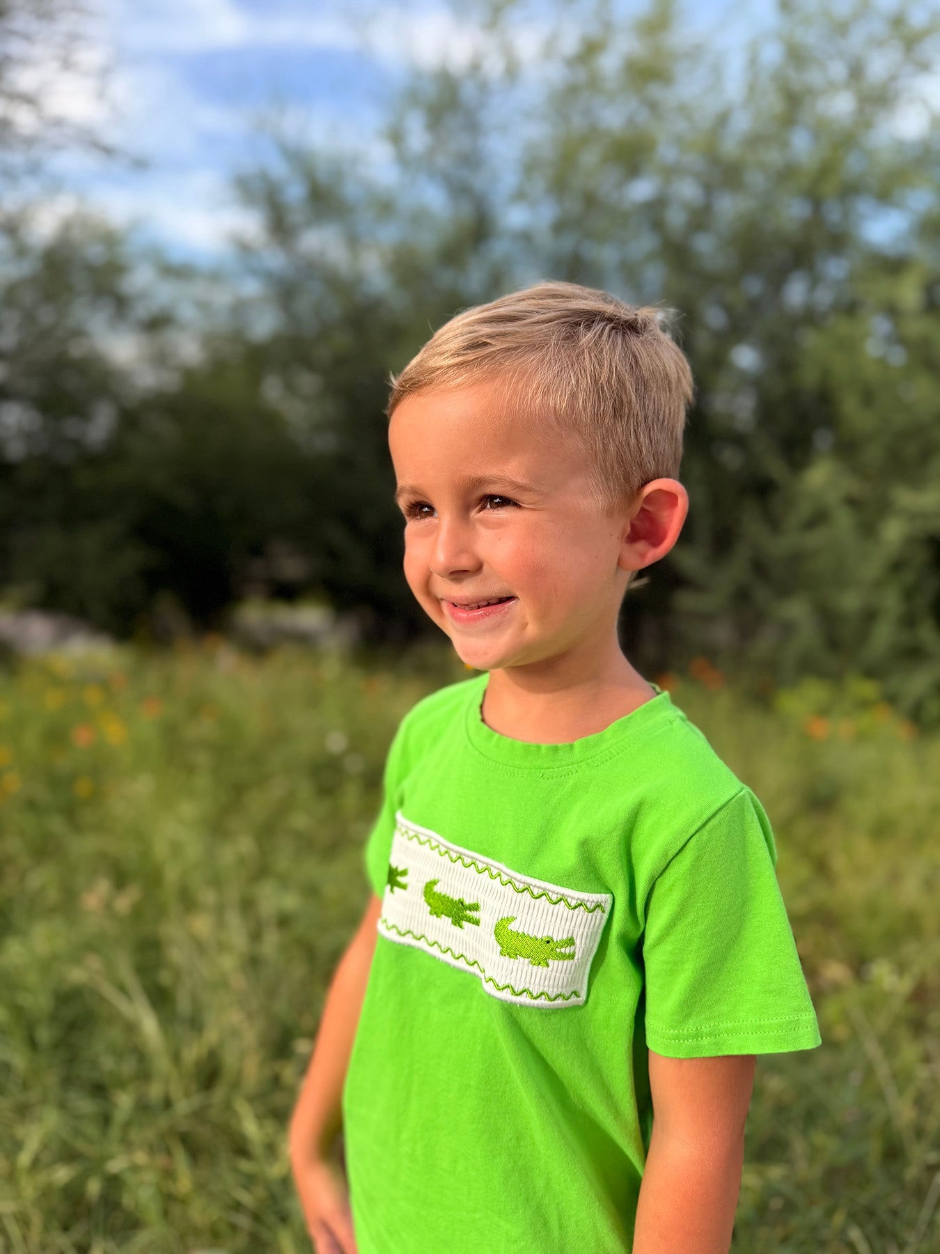 Toddler Boys Summer Crocodile Embroidered Plaid Shorts Set